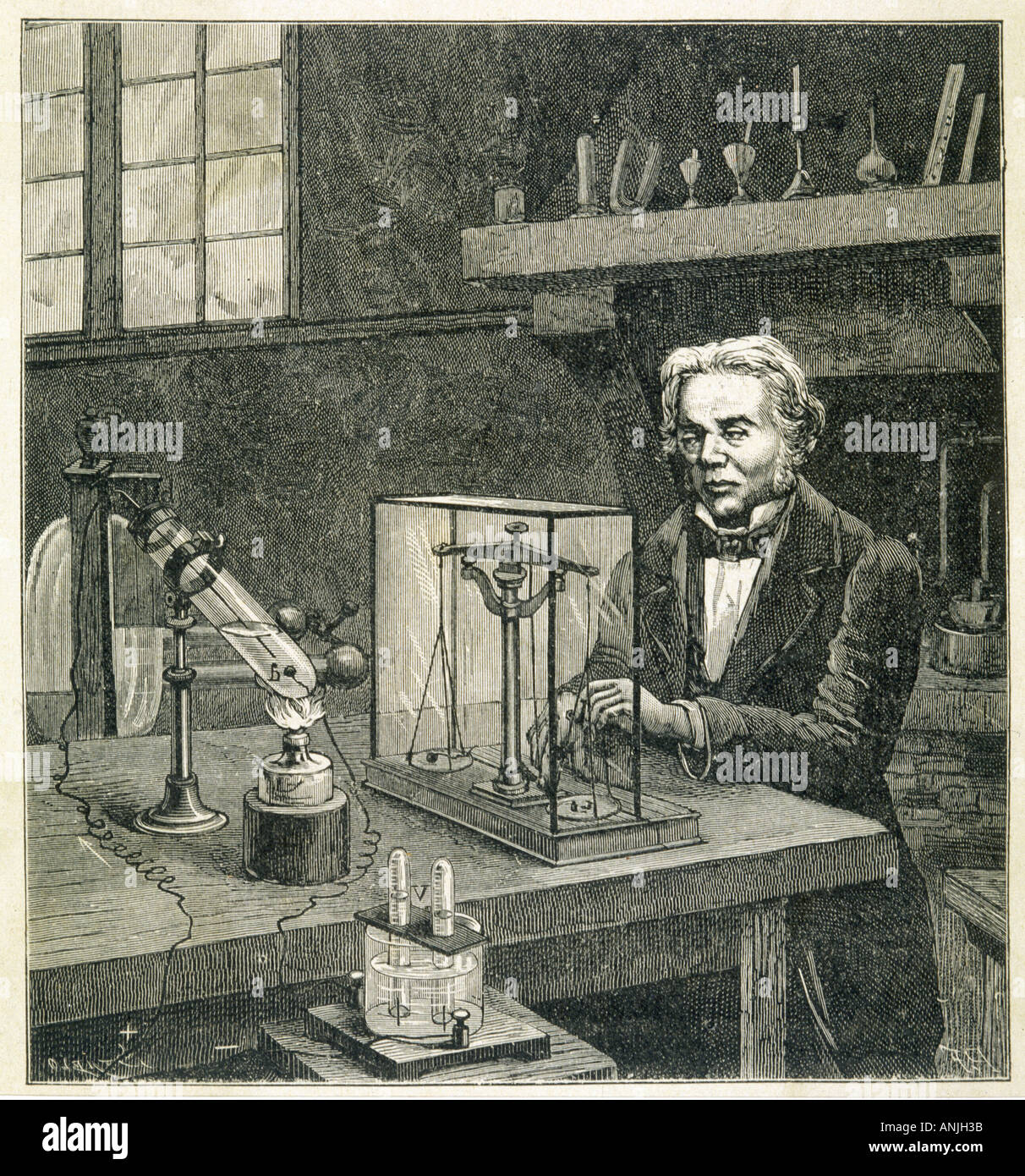Faraday Figuier Stockfoto