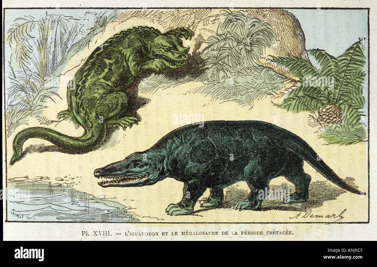 Dinosaurier Iguanodon Stockfoto