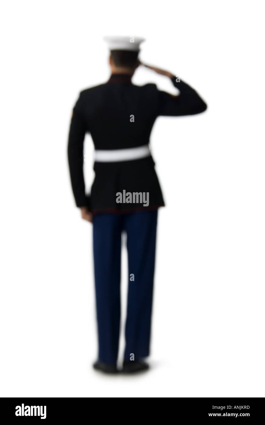 Rückansicht eines Marine-Offiziers grüßen Stockfoto