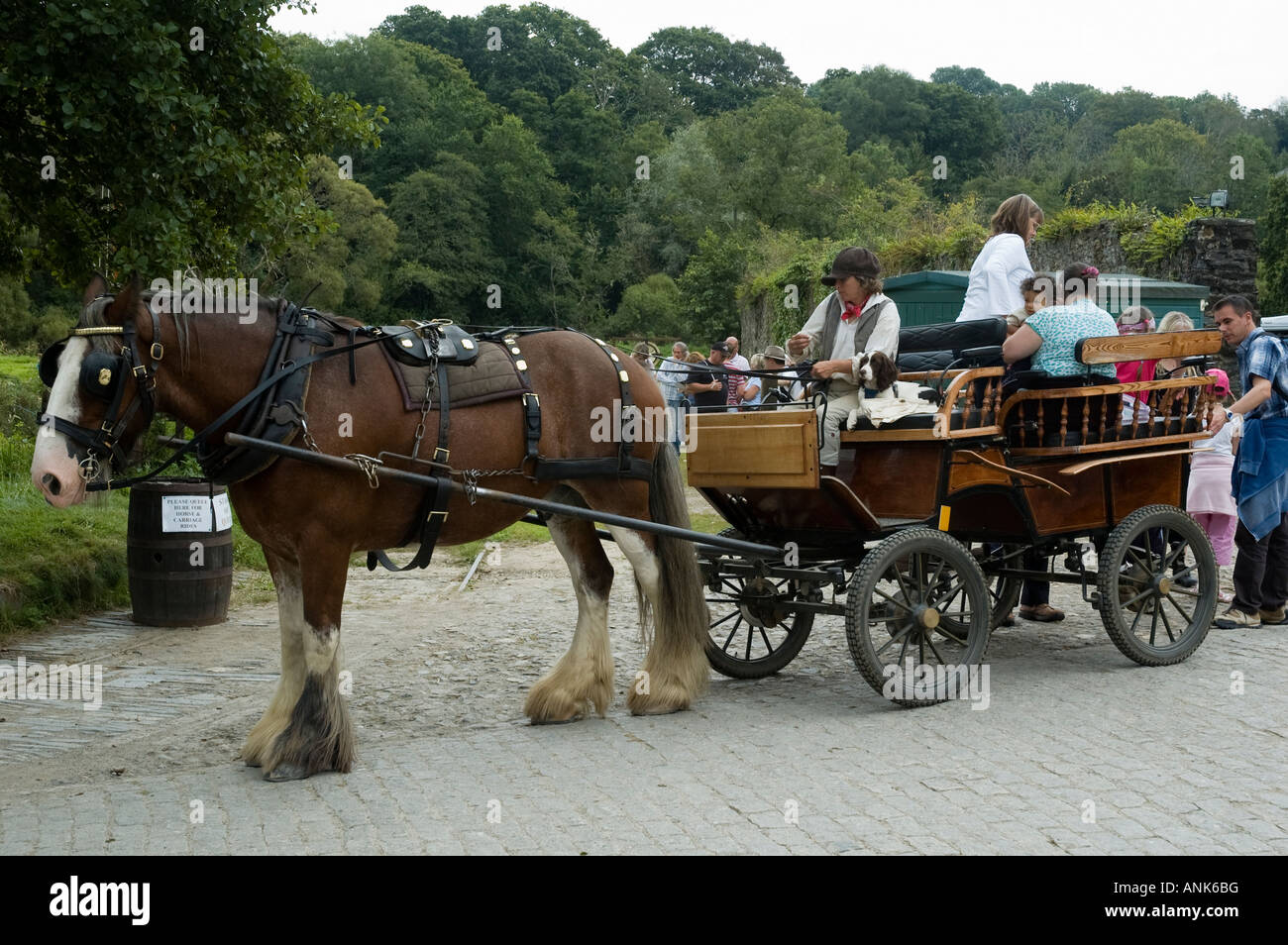 Pferd genutzt um einen Wagen bei Morwellham Quay Devon UK Stockfoto