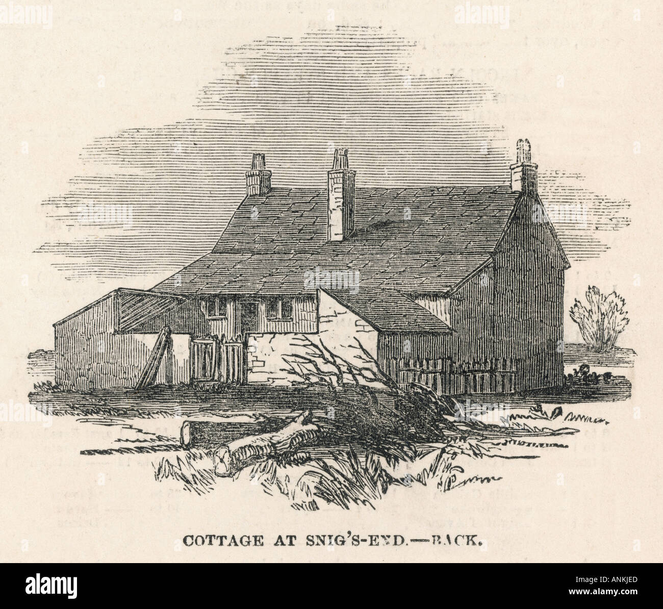 Ferienhaus von hinten Stockfoto