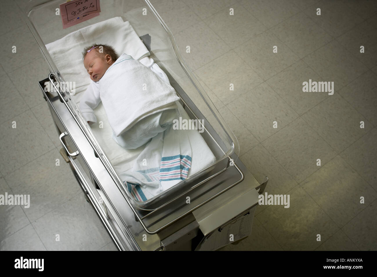 Erhöhte Ansicht eines Neugeborenen Stockfoto