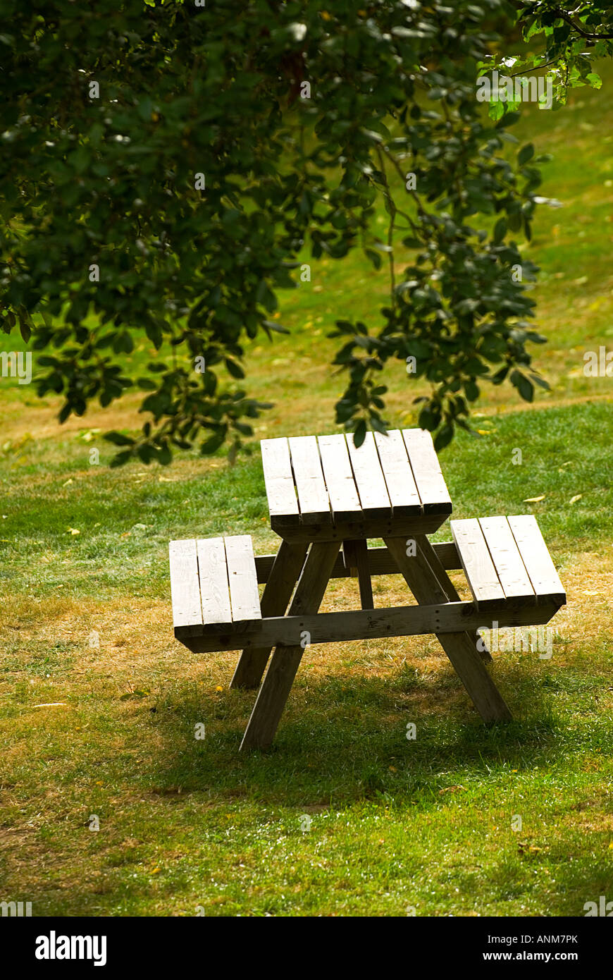 PicknickTisch auf dem grünen Rasen unter Baum Stockfotografie Alamy