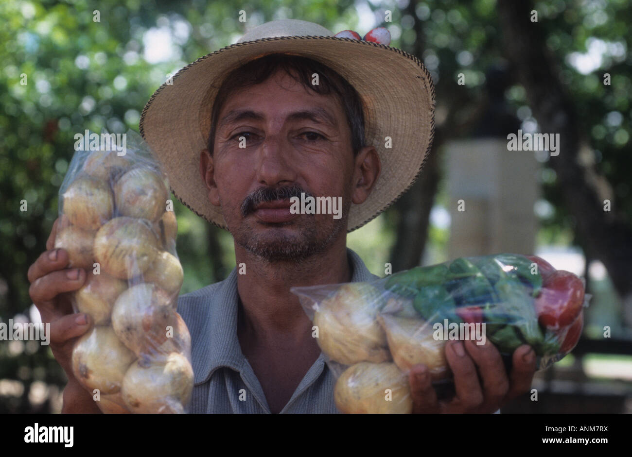 Mann mit Strohhut Verkauf von Gemüse. OCU Mann mit Strohhut Verkauf von Gemüse. OCU Peninsula de Azuero, Panama Stockfoto