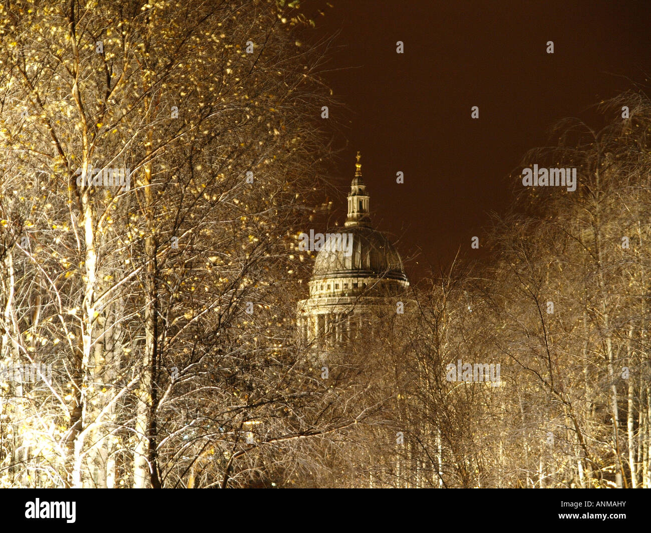 Blick auf die Kuppel der St. Pauls Kathedrale gesehen zwischen den Bäumen außerhalb Tate Modern Stockfoto