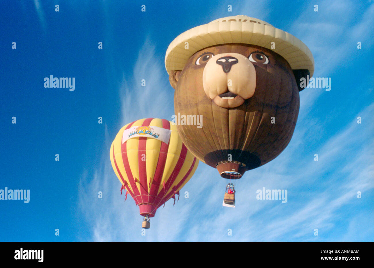 Heißluftballon in einen blauen Himmel Karikatur "smokey der Bär" Stockfoto