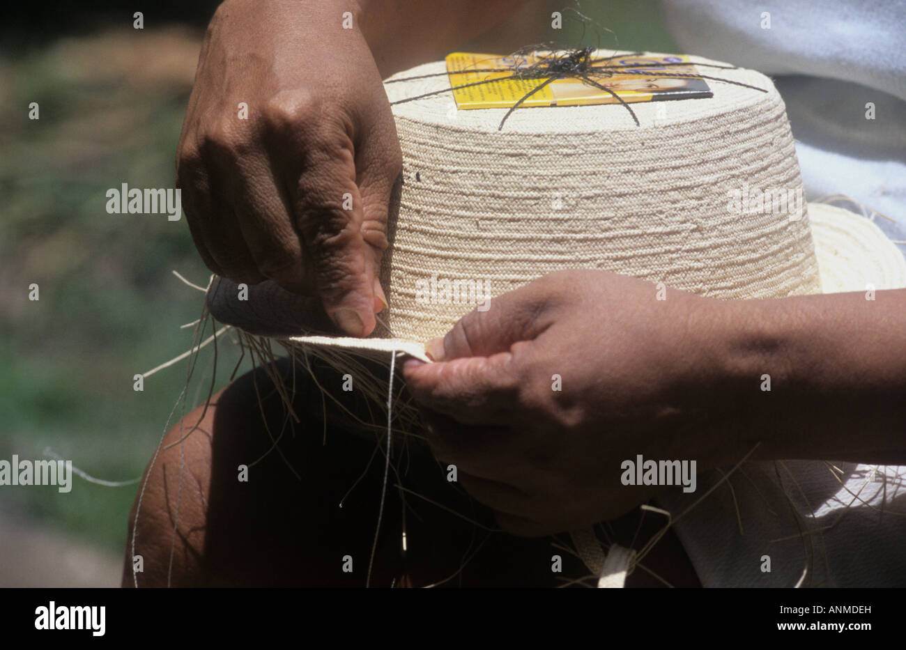 Machen eine handgefertigte Panamahut in Ocu, Peninsula de Azuero, Panama Stockfoto
