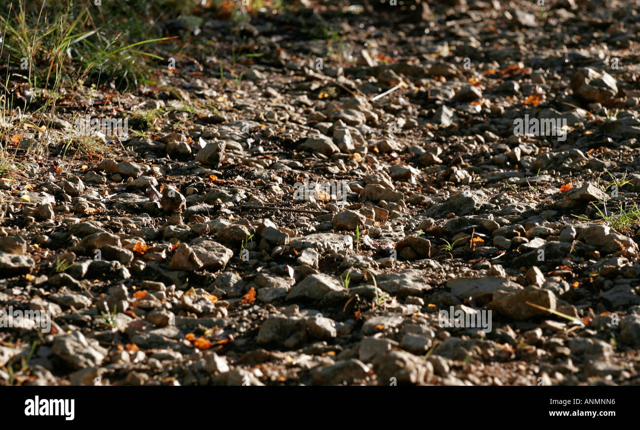 Stein-Track, raue Pfad Stockfoto