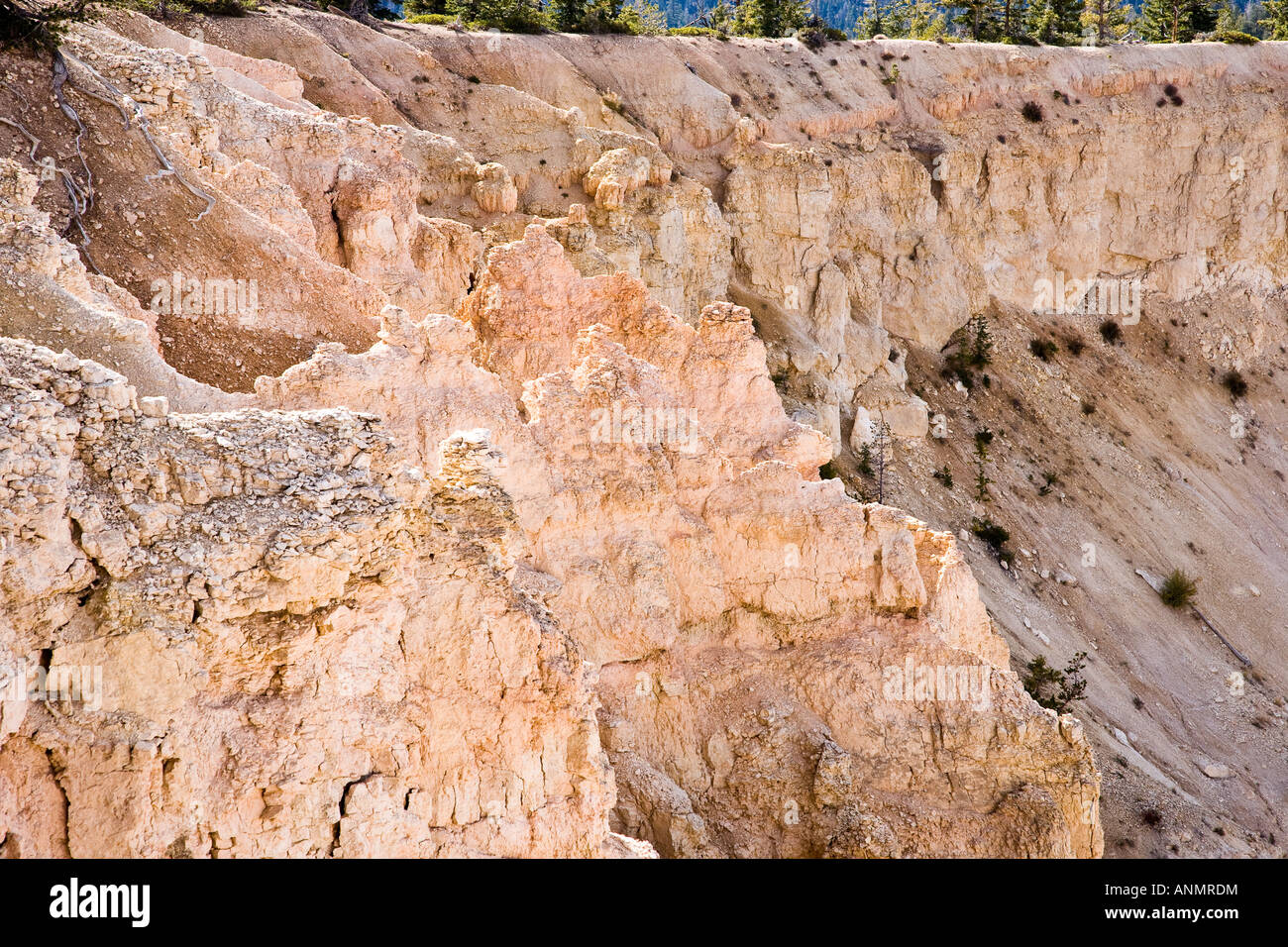 Black Birch Canyon, Bryce Canyon National Park in Utah, USA Stockfoto