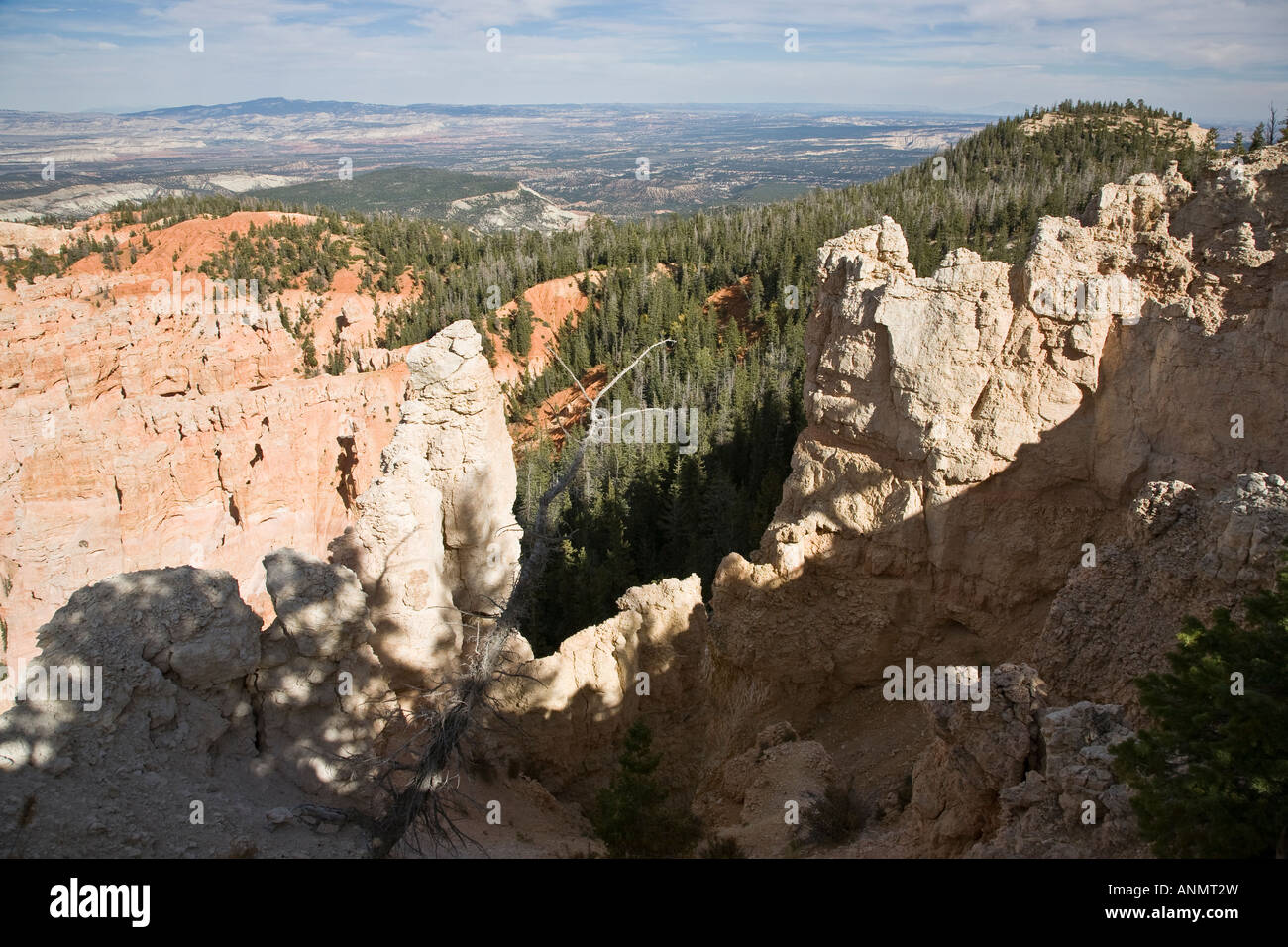 Black Birch Canyon, Bryce Canyon National Park in Utah, USA Stockfoto