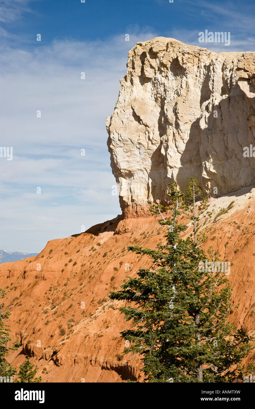 Black Birch Canyon, Bryce Canyon National Park in Utah, USA Stockfoto