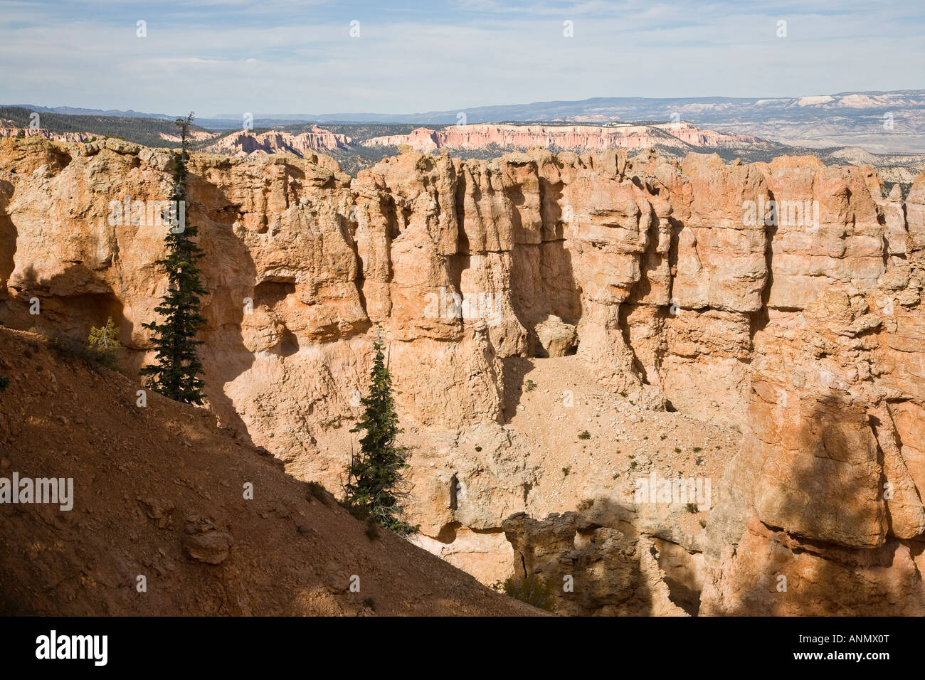 Black Birch Canyon, Bryce Canyon National Park in Utah, USA Stockfoto
