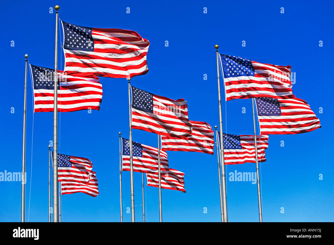 Amerikanische Flaggen Stockfoto