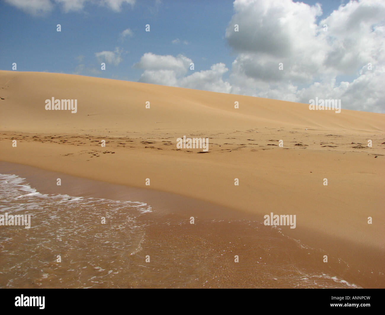 Sanddüne neben Strand, Paraguaná, Falcon Staat, Venezuela Stockfoto