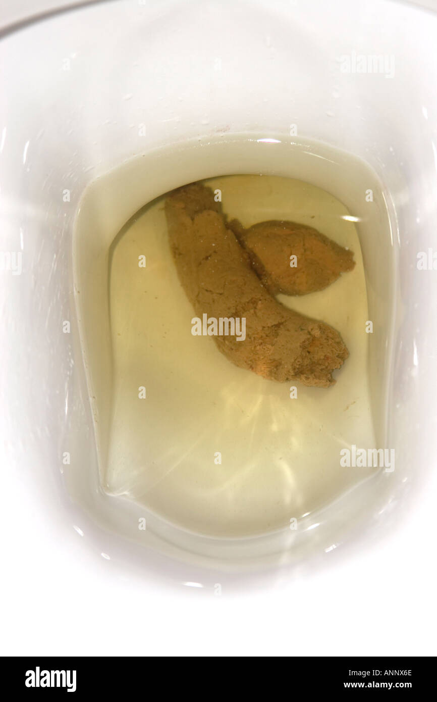 Scheiße, Stuhlgang Poo Exkremente Dump Mist Hocker oder Fäkalien in einem  Moor WC Toilette Waschbecken oder Pfanne Stockfotografie - Alamy