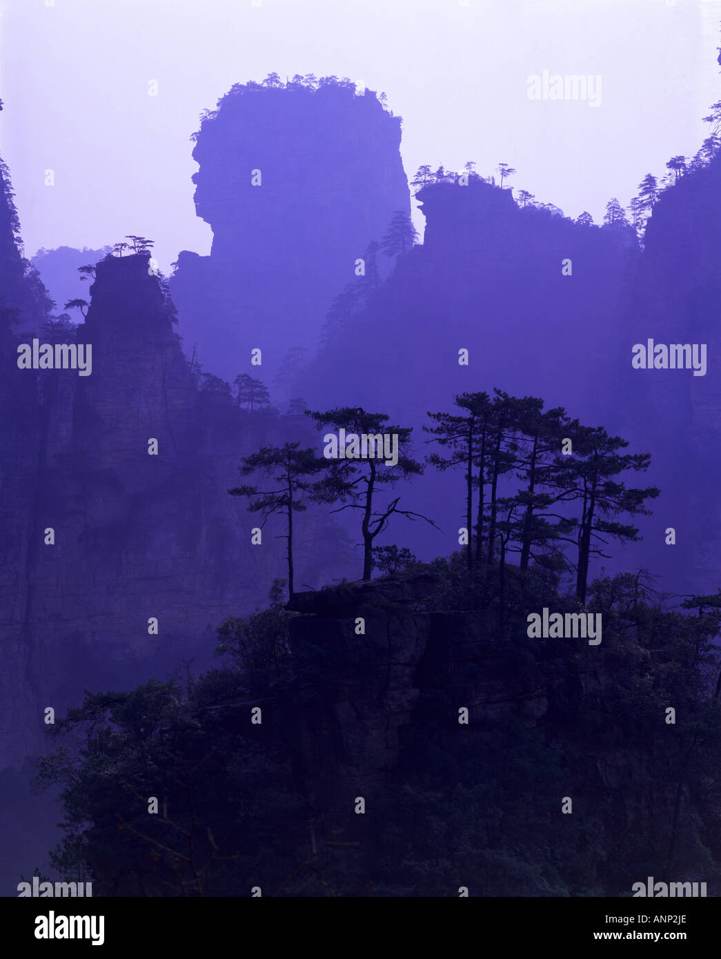 Silhouette der Bäume auf den Berggipfeln Stockfoto