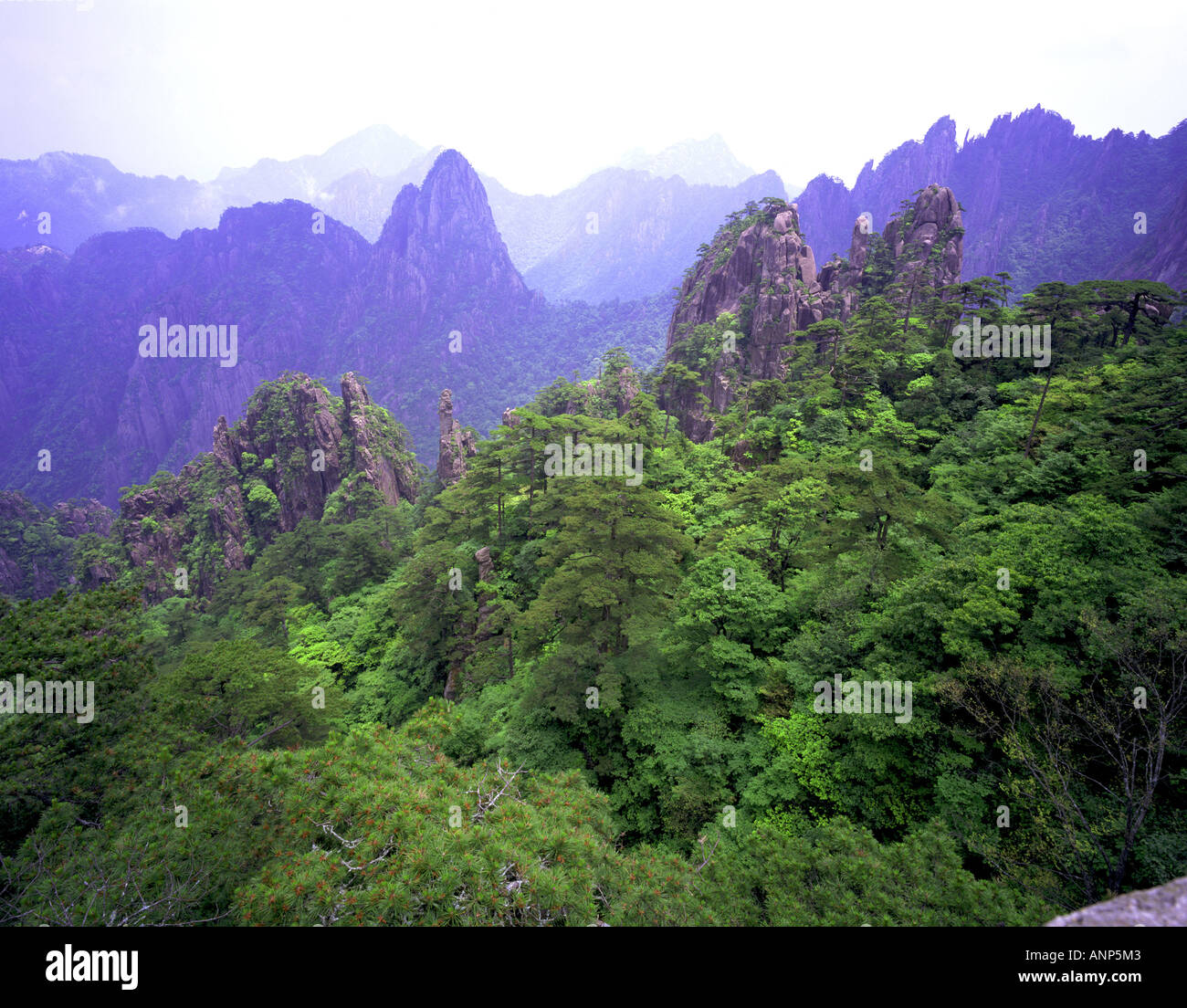 Erhöhte Ansicht der Berggipfel in einem Wald und Gebirge im Hintergrund Stockfoto