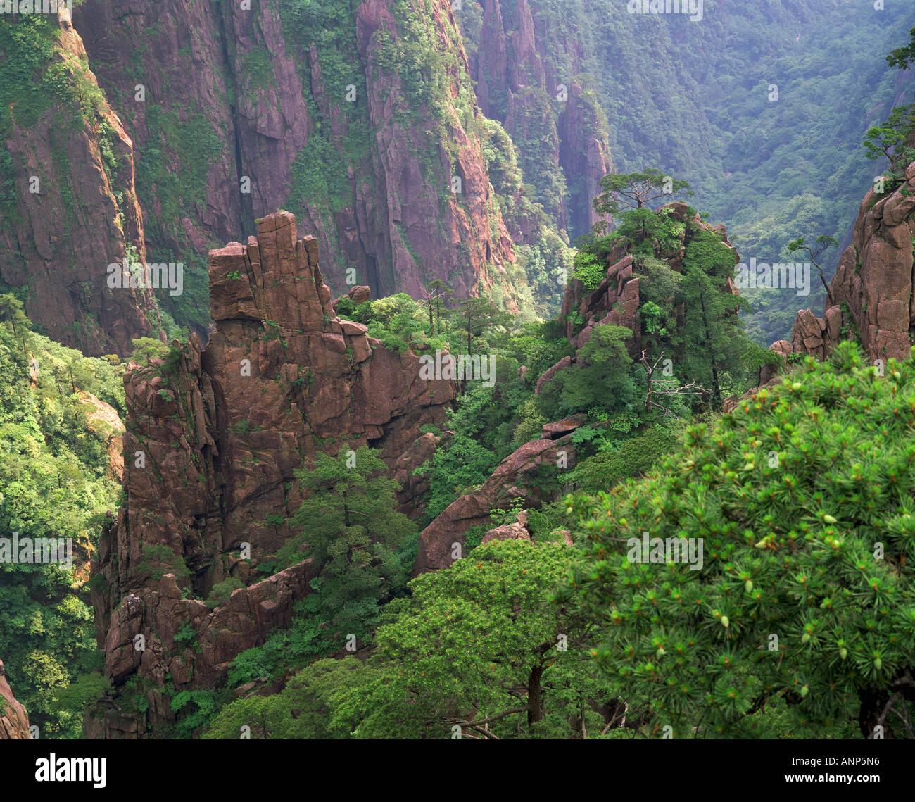 Erhöhte Ansicht einer Felsformation an einem Baum Berg bedeckt Stockfoto