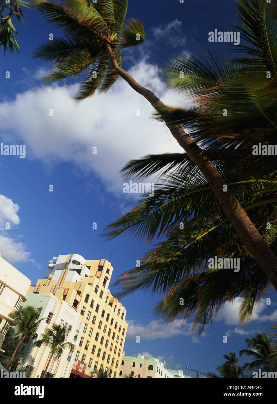 Niedrigen Winkel Aussicht auf Palmen und Gebäude Stockfoto