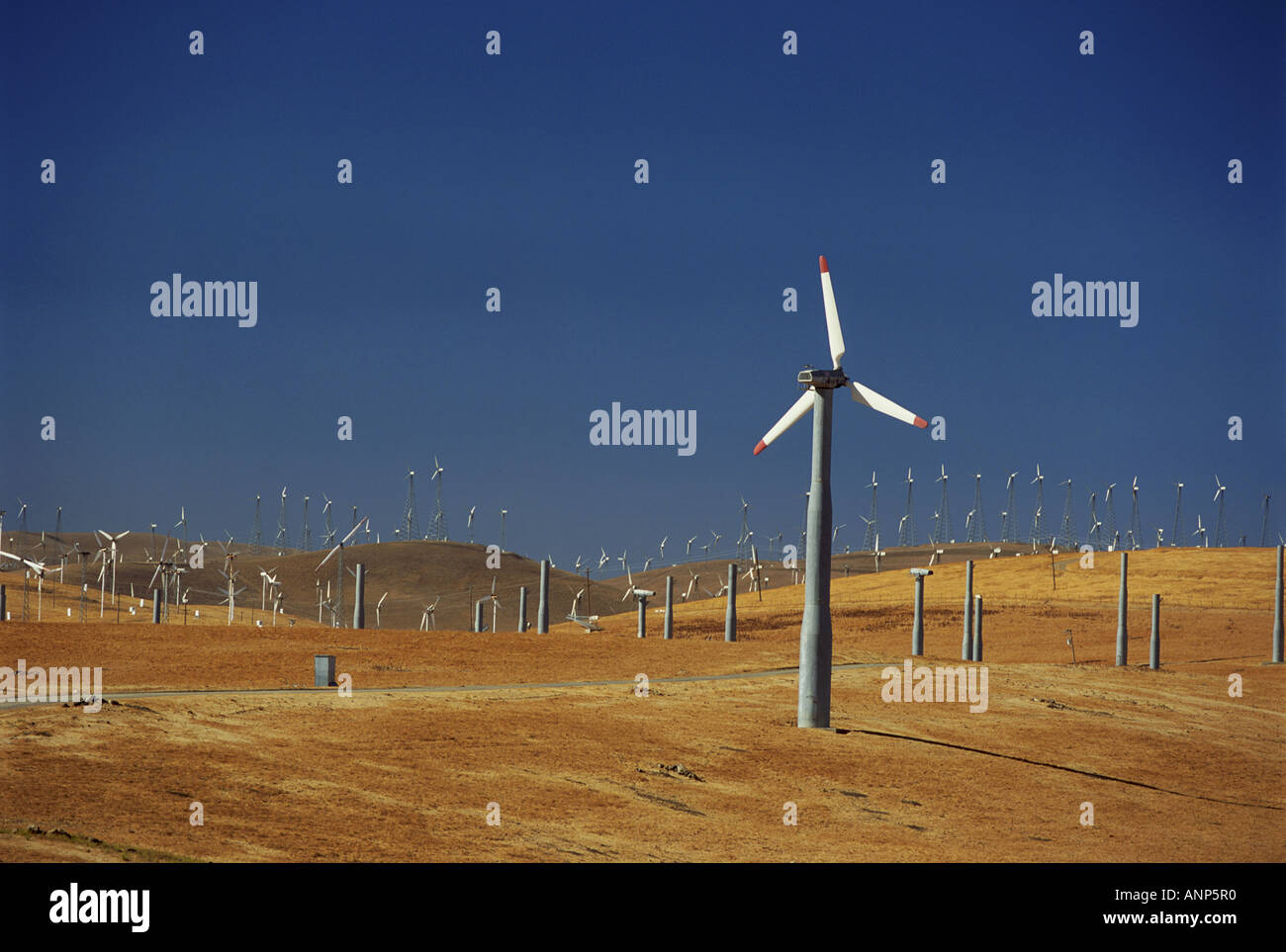 Windkraftanlagen in einem Feld Stockfoto