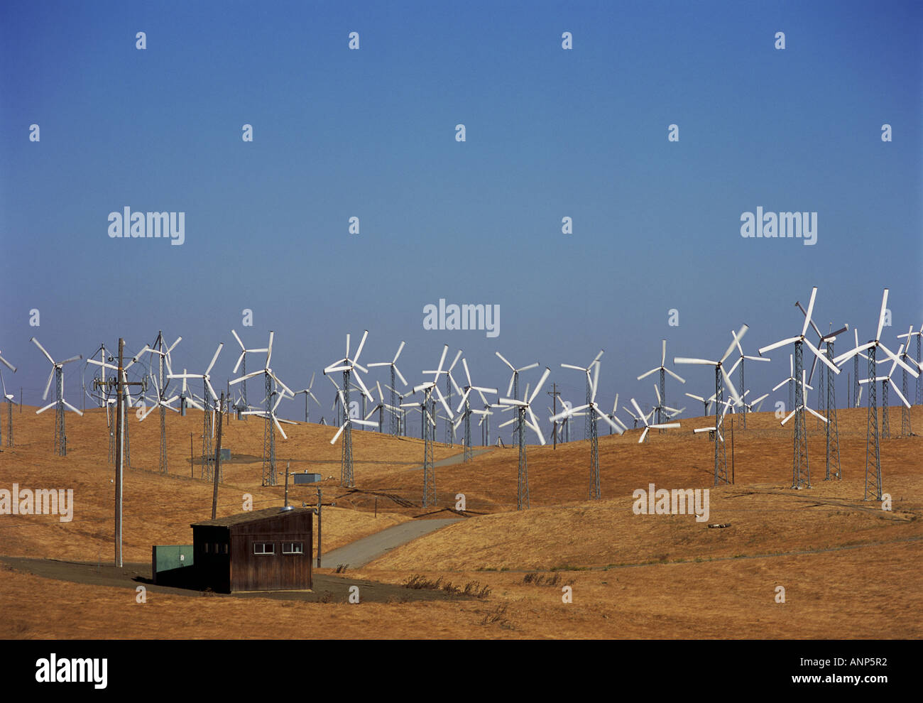 Windkraftanlagen in einem Feld Stockfoto