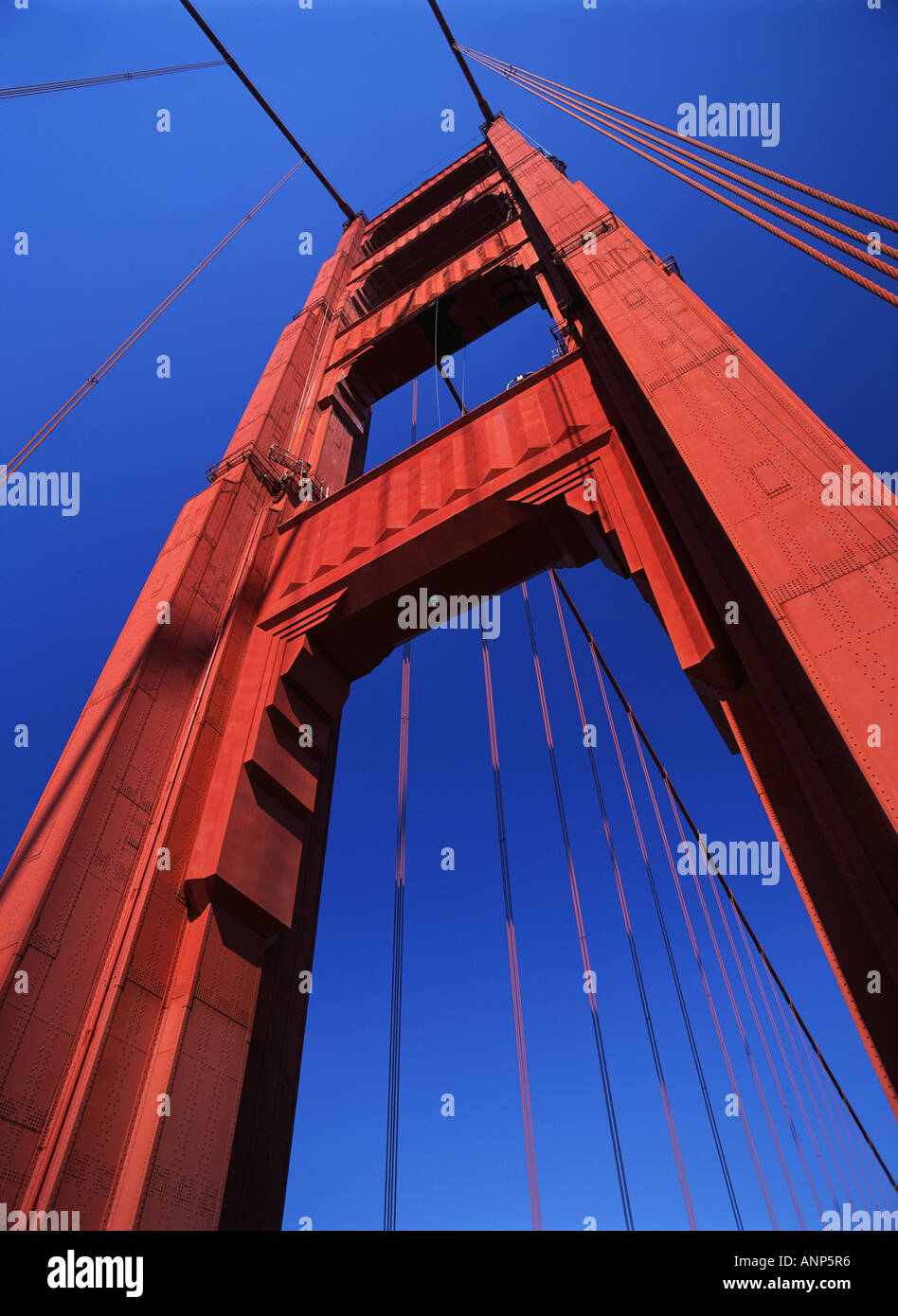 Niedrigen Winkel Blick auf die Golden Gate Brücke San Francisco Kalifornien, USA Stockfoto