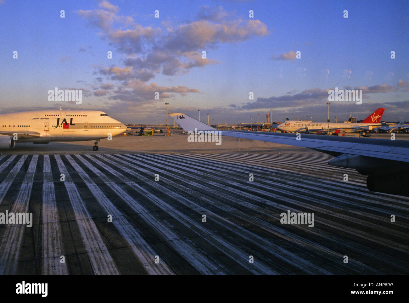 Japan Airlines Boeing 747-400-Taxi zum Terminal 3 am Flughafen London Heathrow UK Stockfoto