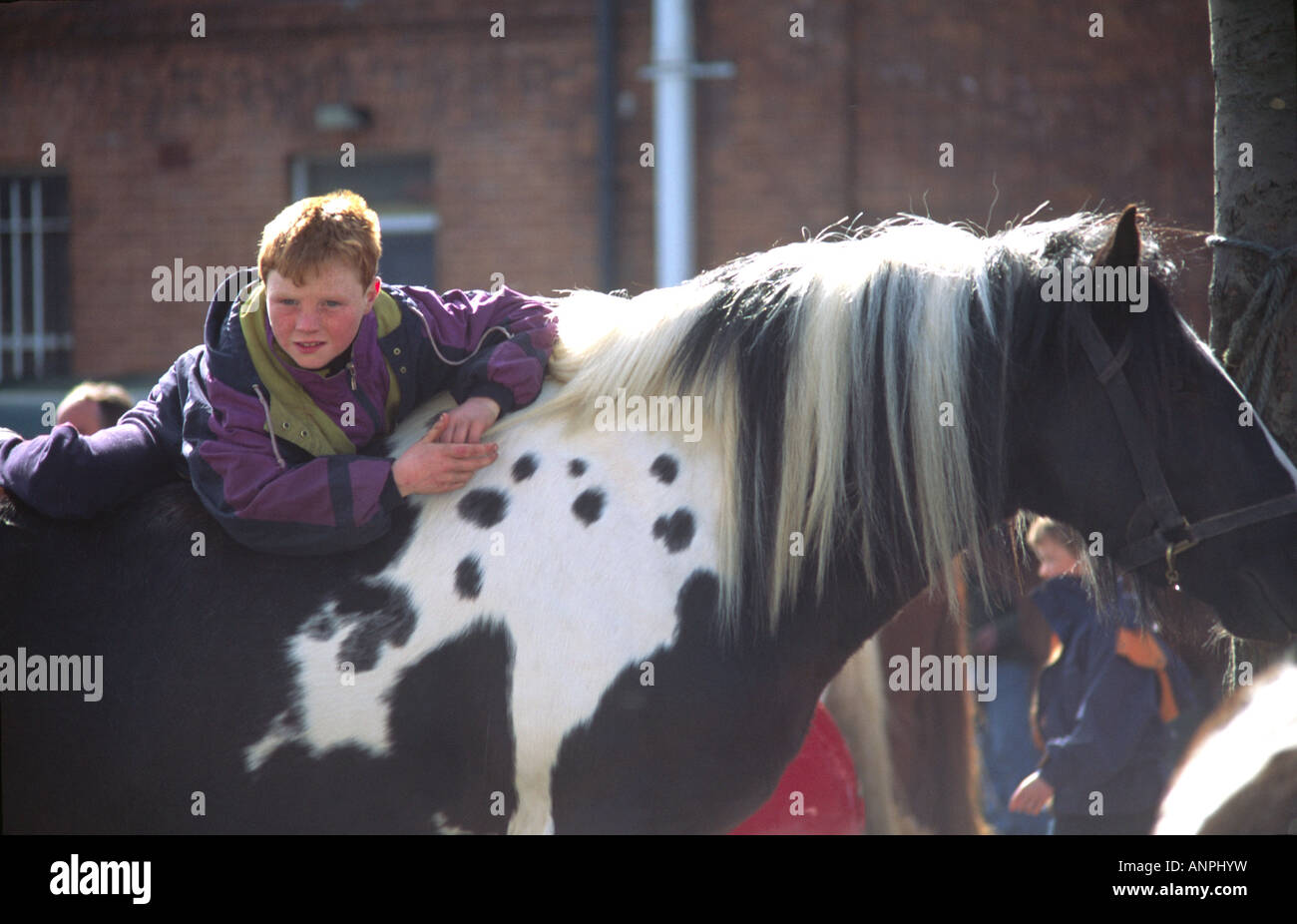 Irische Zigeunerjunge mit roten Haaren auf einem Pferd Stockfoto