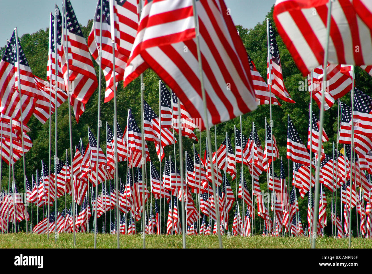 Amerikanische Flaggen wehen als Erinnerung an die Opfer des 911 Stockfoto