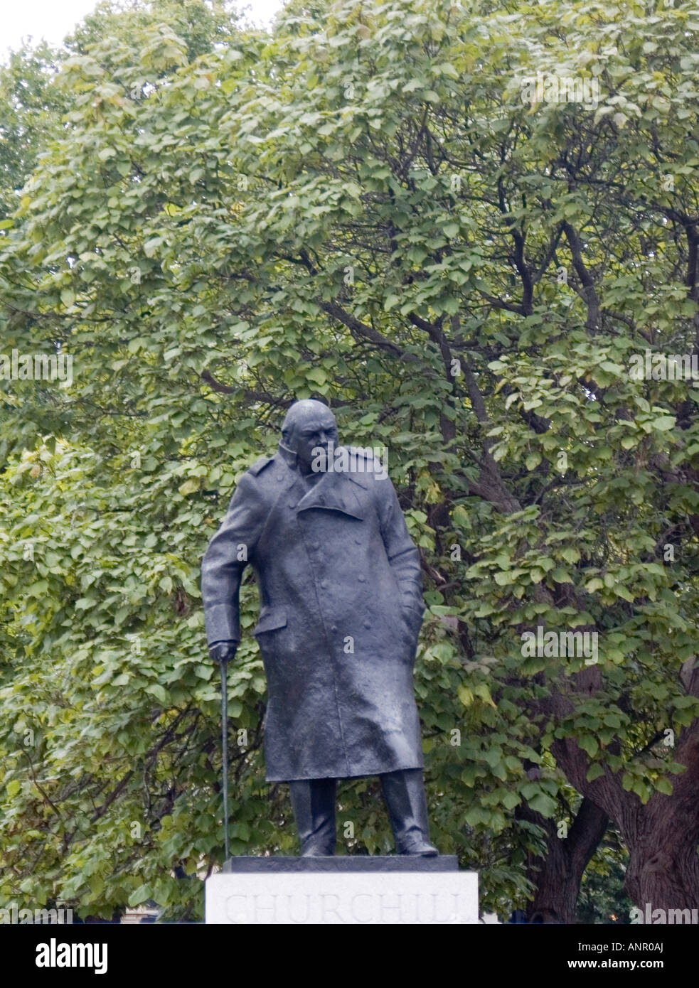 Die Statue von Sir Winston Churchill in Westminster in Central London England Stockfoto