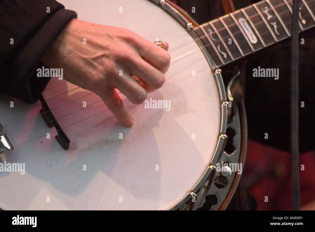 Alison Brown American Banjo-Spieler Stockfoto