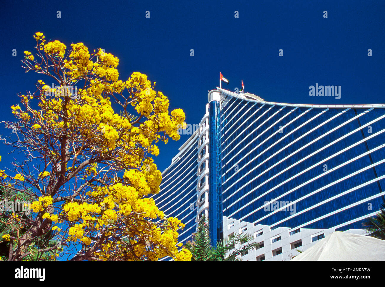 Jumeirah Beach Resort Dubai Vereinigte Arabische Emirate Stockfoto