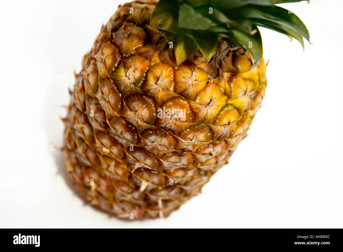 GEMEINSAMER NAME: Ananas lateinischer NAME: Ananas Comosus Stockfoto