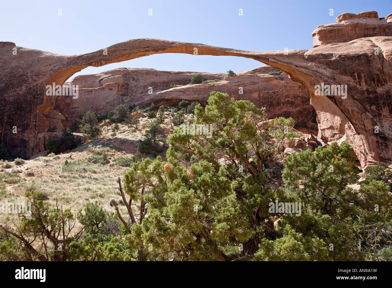 Landscape Arch - Felsformation im Arches National Park in Utah, USA Stockfoto