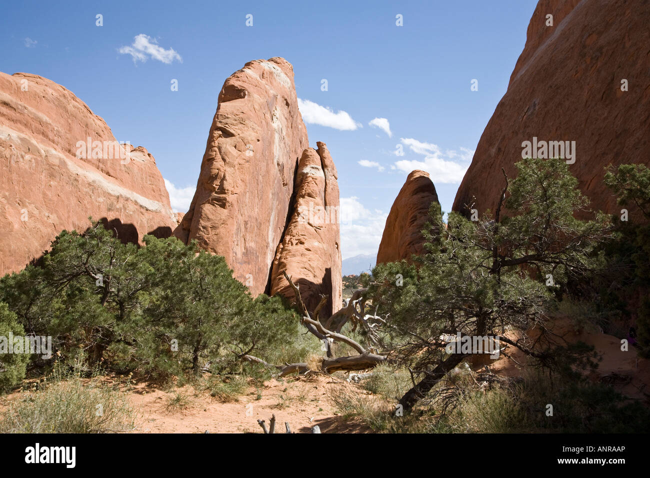 Devils Garden - Felsformation im Arches National Park in Utah, USA Stockfoto