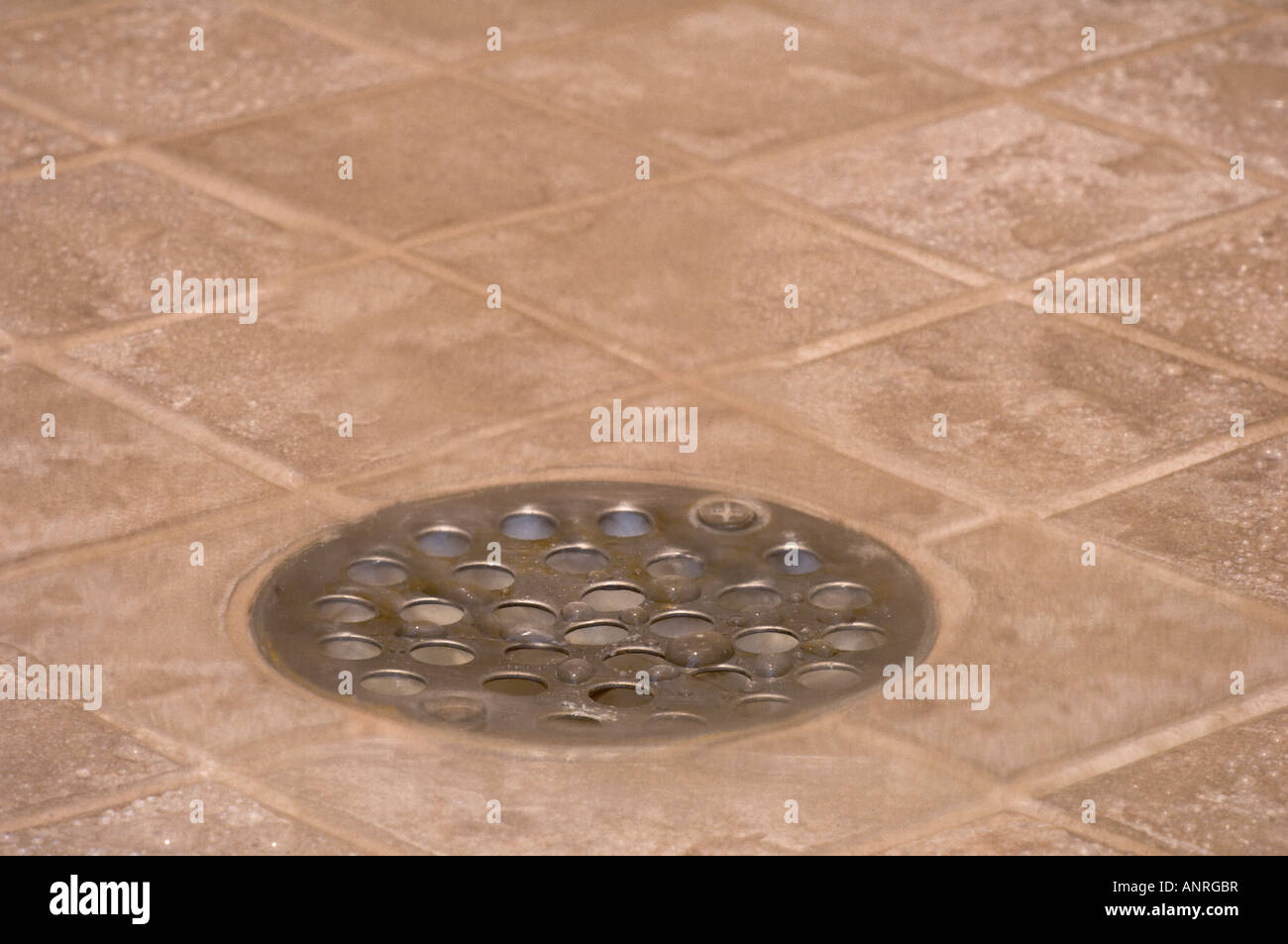 Wasserablauf auf der Abfluss-Fliese-Dusche Stockfoto