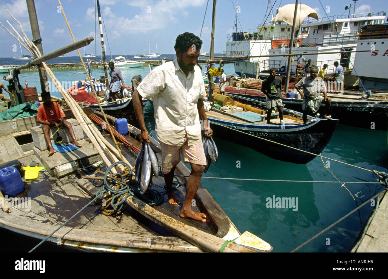 Malediven männlichen Fischen Fischer Landung fangen im Hafen Stockfoto