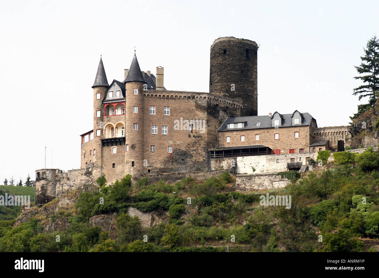 Die Burg Katz Stockfoto