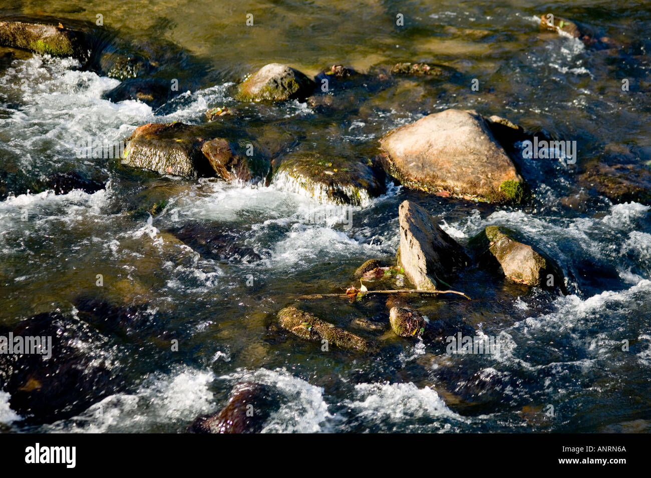 See locken, North Carolina usa Stockfoto