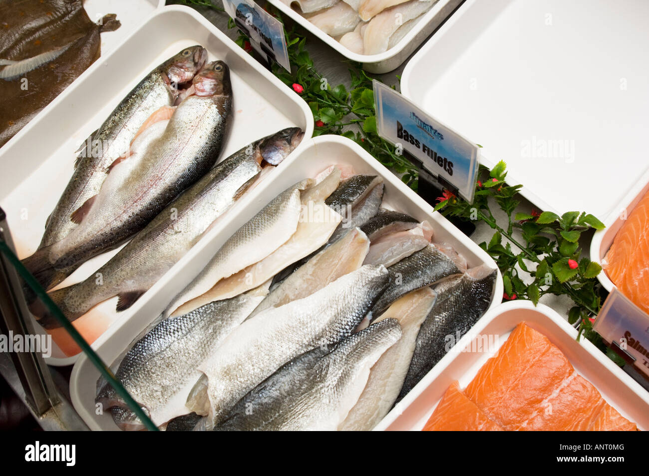 Frischer Seebarsch ganze Fische und Filets in Fischhändler Shop erhältlich Stockfoto