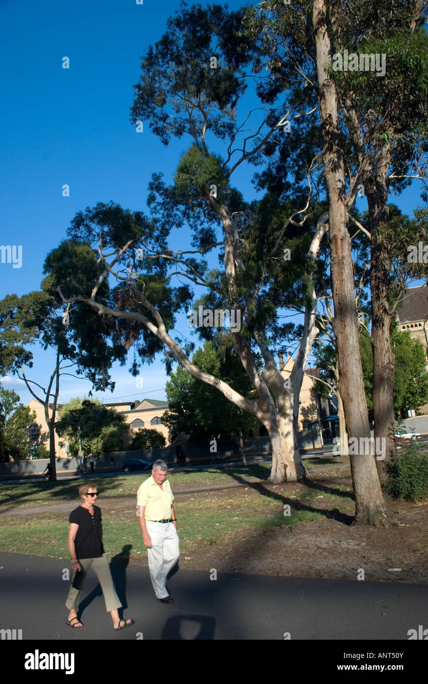 Carlton Gärten, Melbourne, Victoria, Australien Stockfoto