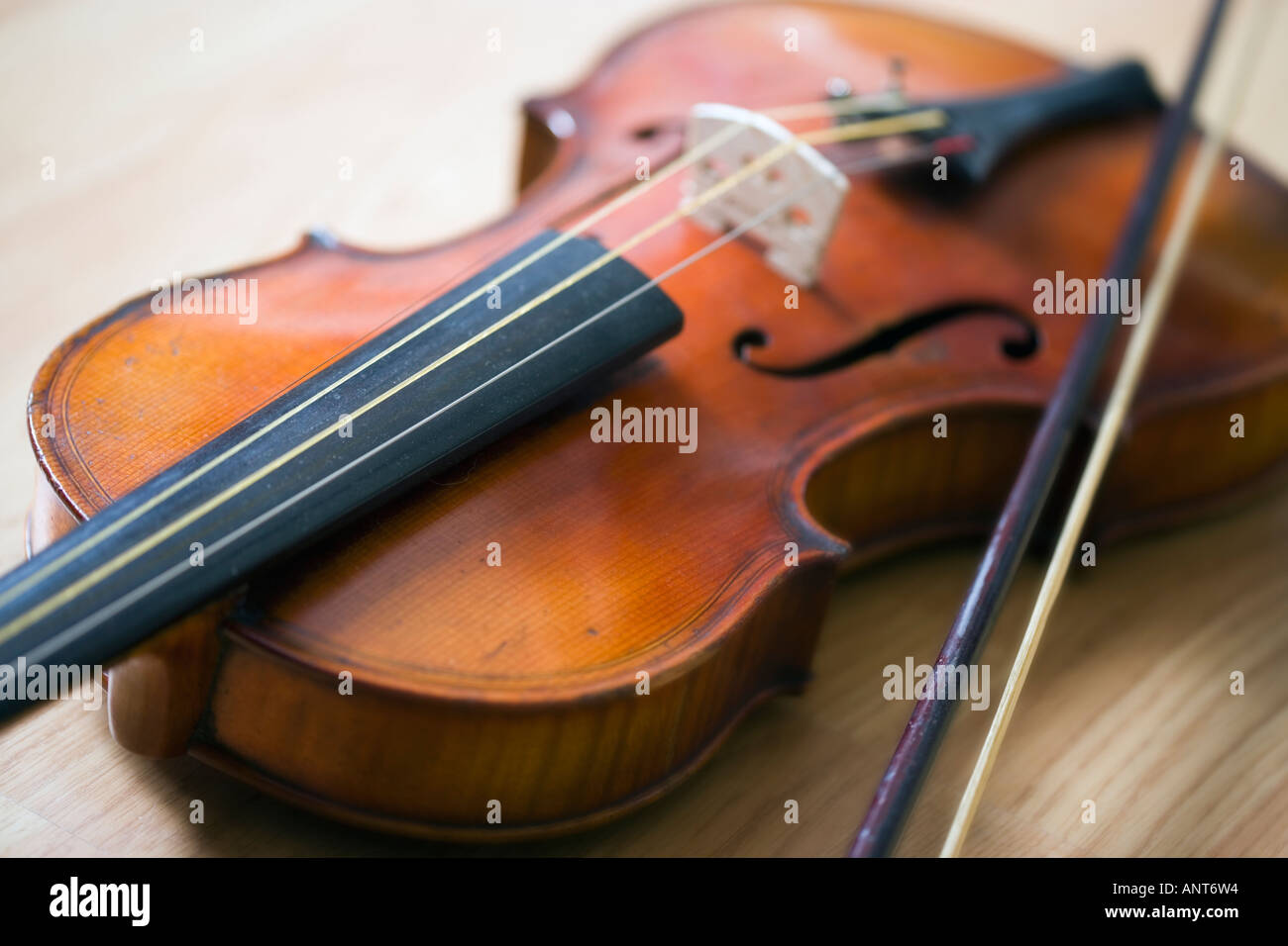 Violine und Bogen, close-up Stockfoto