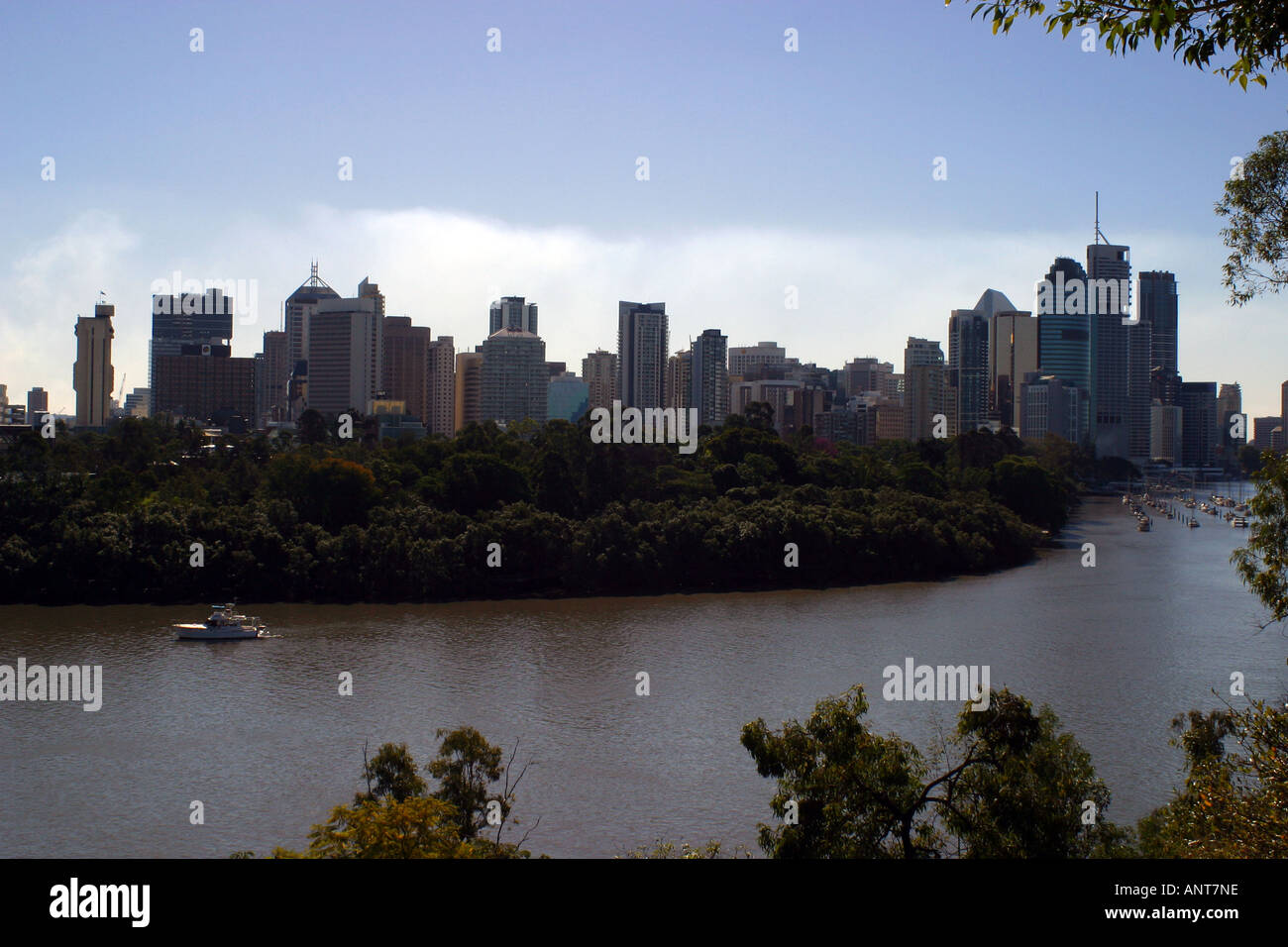 Blick auf Brisbane CBD Stockfoto