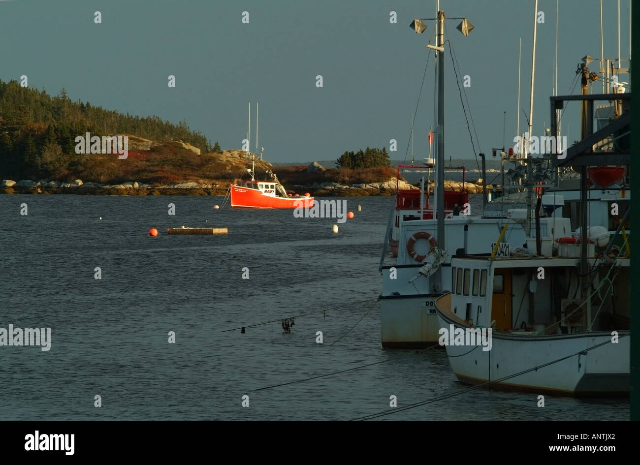 Angelboote/Fischerboote in einem ruhigen Fischerdorf bei Sonnenuntergang entlang der Süden von Nova Scotia, Kanada. Eine halbe Stunde von Halifax. Stockfoto