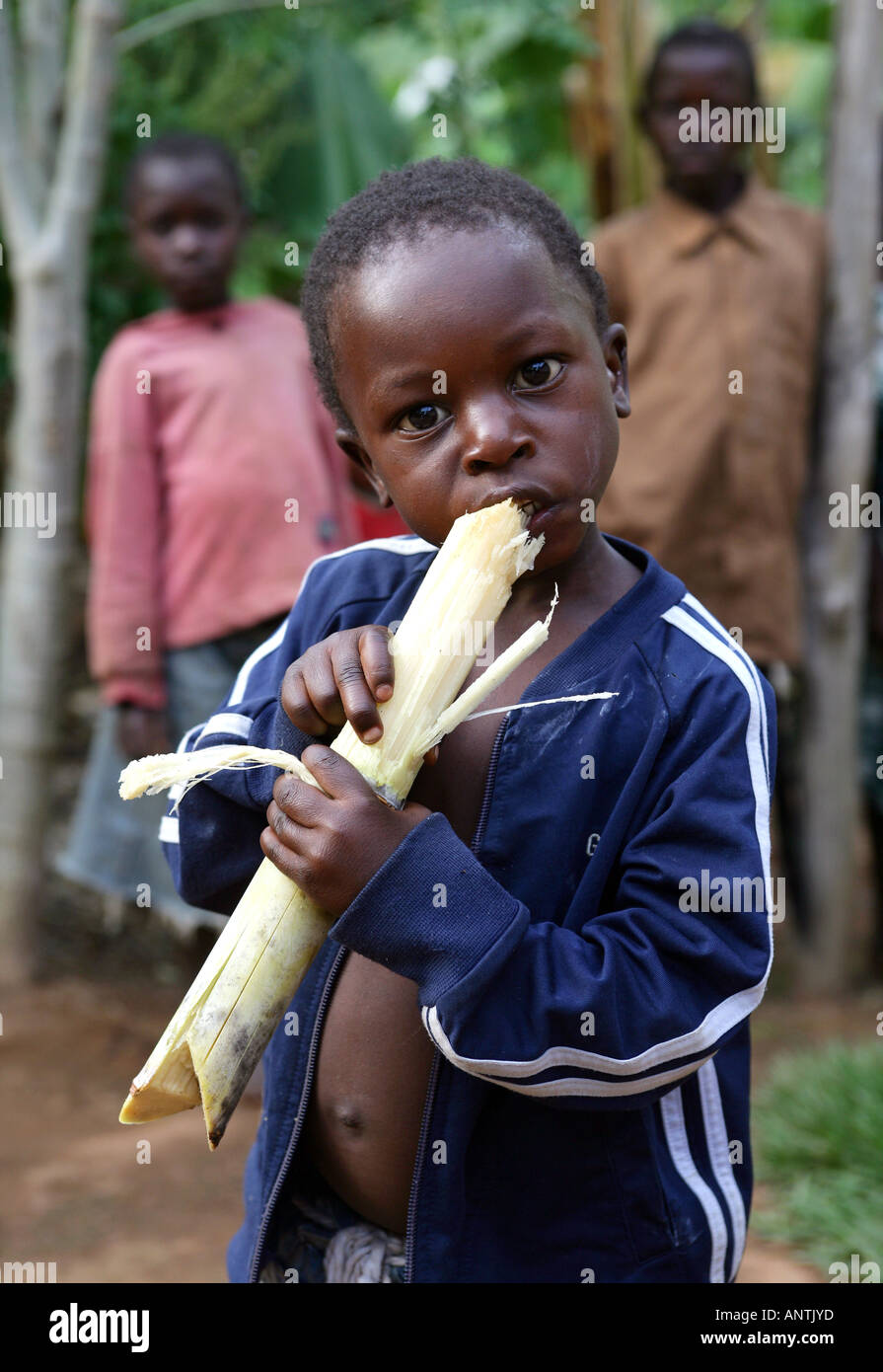 junge kauen Zuckerrohr, Tansania Stockfoto
