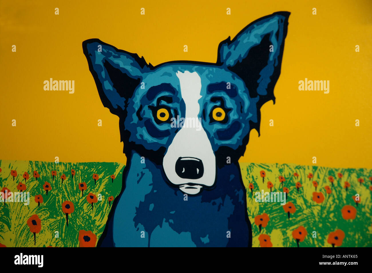 Der Blaue Hund