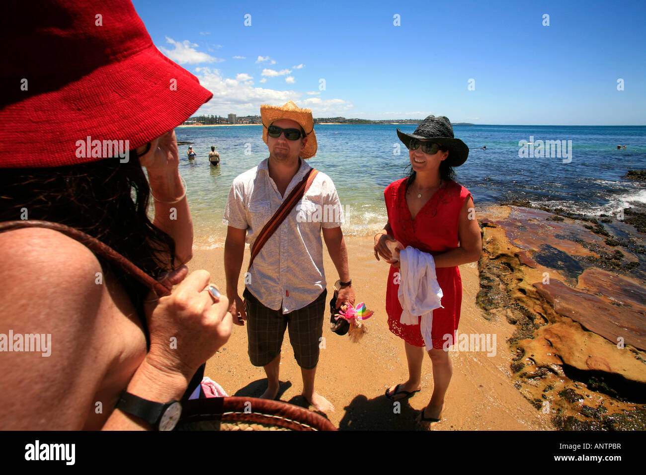 Am Strand Fairy Bower Manly Australien Stockfoto