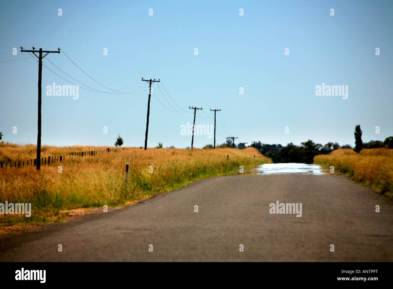 Einsame Landstraße in der Nähe von Inverell NSW Australia Stockfoto