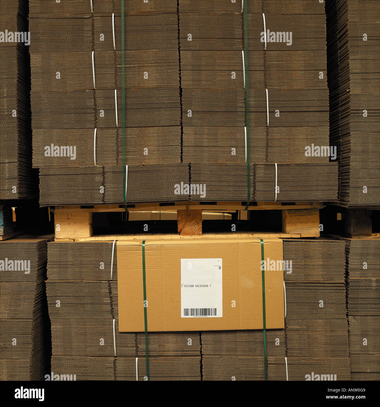 Lager speichert Kartons Stockfoto