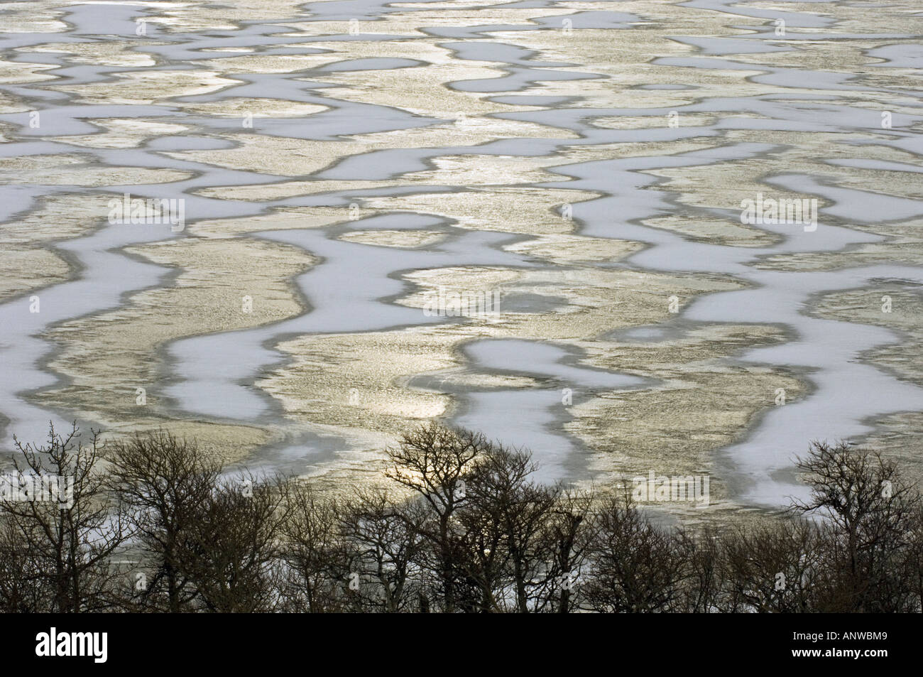 Windgepeitschten Schnee Muster auf gefrorenen Lower Waterton Lake, mit Küstenlinie Eiche, Waterton Lakes National Park, Alberta, Kanada Stockfoto